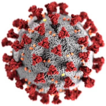 Rappresentazione grafica del Coronavirus